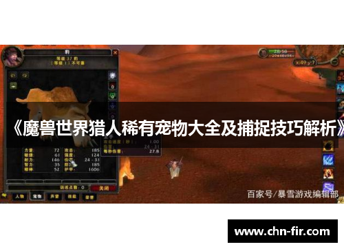 《魔兽世界猎人稀有宠物大全及捕捉技巧解析》